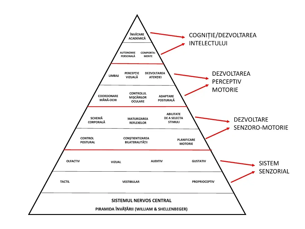 centru terapie copii Constanta, centru dezvoltare copii Constanta, terapie ABA Constanta, terapie 3C Constanta, metoda Feuerstein Constanta, interventie cognitiva copii Constanta, logopedie Constanta, logoped copii Constanta, psiholog copii Constanta, consiliere psihologica copii Constanta, integrare senzoriala Constanta, terapie integrare senzoriala copii Constanta, teorie a mintii Constanta, stimulare cognitiva copii Constanta, evaluare psihologica copii Constanta, evaluare comportamentala copii Constanta, recuperare copii Constanta, recuperare intarziere in dezvoltare Constanta, recuperare limbaj copii Constanta, terapie comportamentala copii Constanta, terapie pentru autism Constanta, centru copii autism Constanta, interventie timpurie copii Constanta, educatie speciala copii Constanta, programe dezvoltare socio emotionala Constanta, interventie personalizata copii Constanta, consiliere parinti Constanta, centru interventie educationala Constanta, dezvoltare aptitudini sociale copii Constanta, recuperare tulburari de invatare Constanta, dezvoltare autonomie copii Constanta, stimulare limbaj copii Constanta, centru terapie privata Constanta, sedinte logopedie Constanta, terapie cognitiv comportamentala copii Constanta.